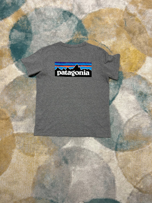 Patagonia grey t-shirt