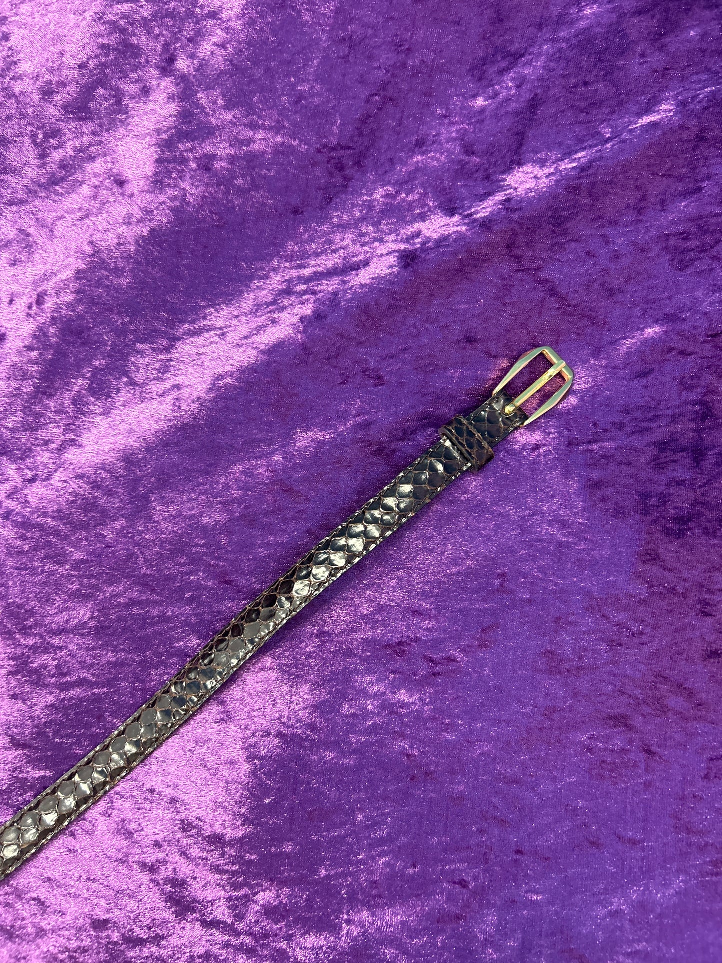 Dark Brown 90's Skin Snake-Type Leather Belt