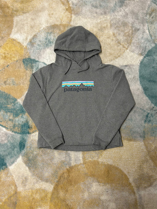 Patagonia grey hoodie